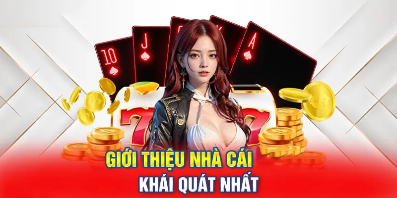 Vì sao nên chọn i9bet